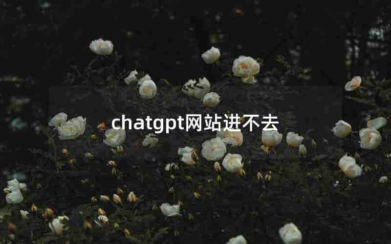 chatgpt网站进不去 chatgpt网站进不去