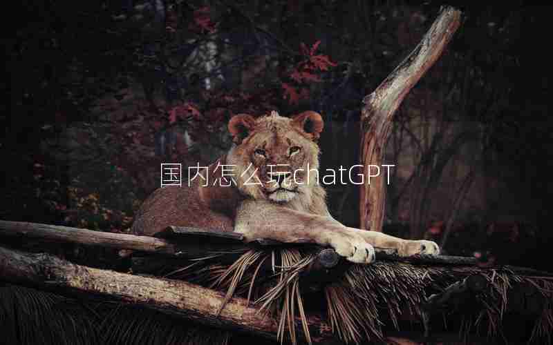 国内怎么玩chatGPT
