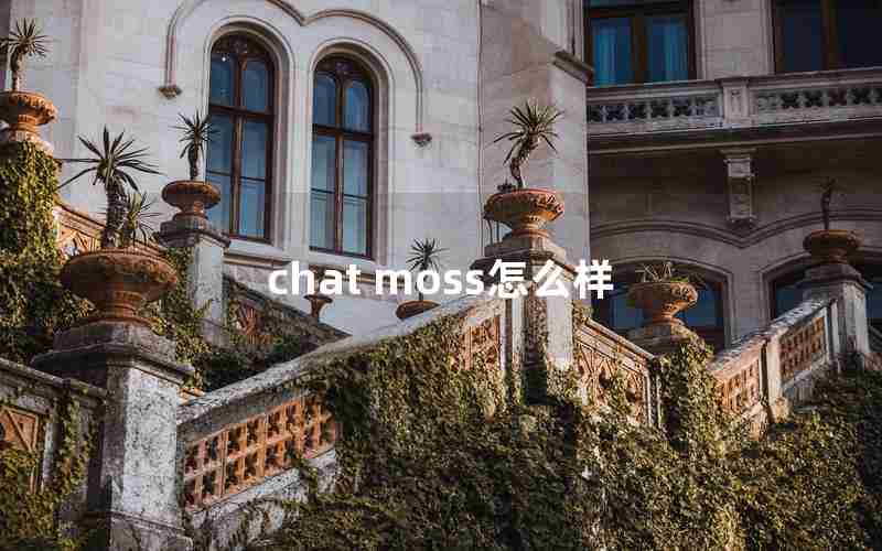 chat moss怎么样