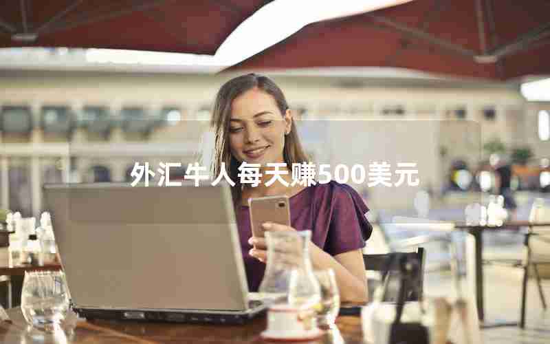 外汇牛人每天赚500美元