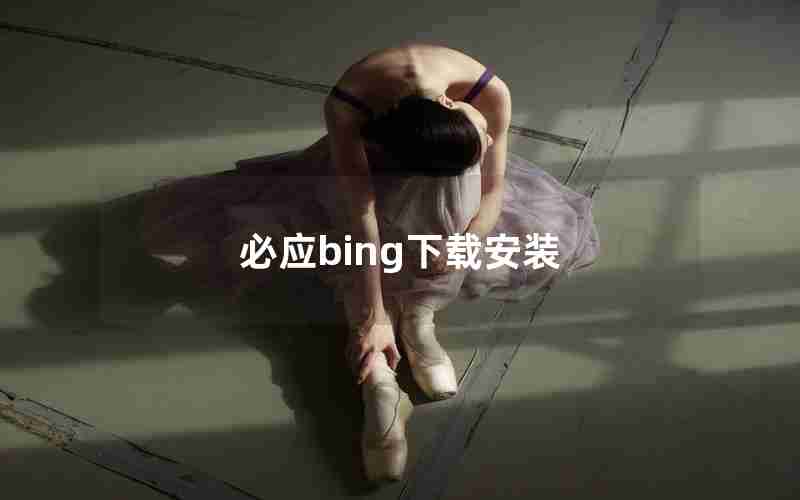 必应bing下载安装
