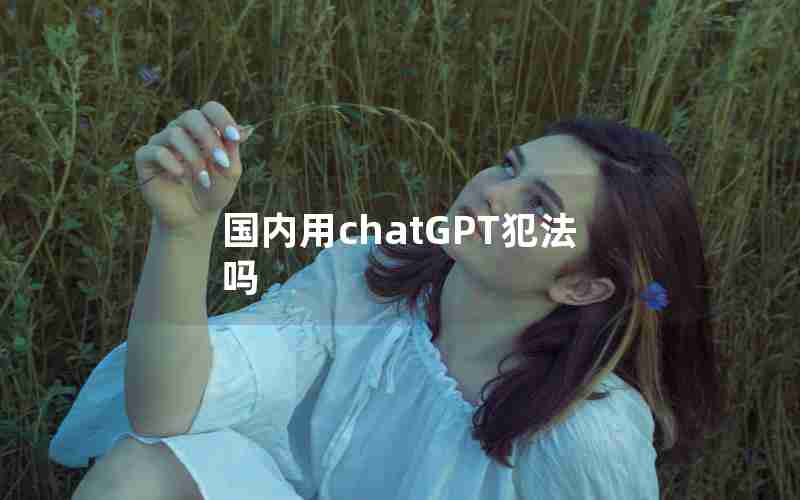 国内用chatGPT犯法吗