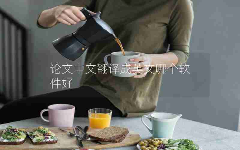 论文中文翻译成英文哪个软件好
