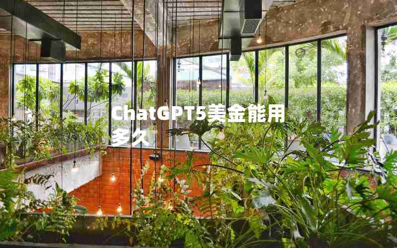 ChatGPT5美金能用多久 ChatGPT5美金能用多久