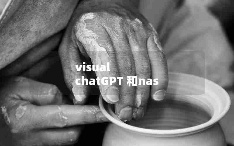 visual chatGPT 和nas