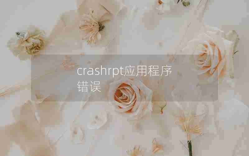 crashrpt应用程序错误