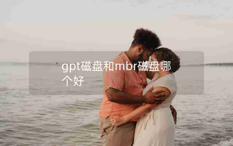 gpt磁盘和mbr磁盘哪个好 gpt磁盘和mbr磁盘哪个好