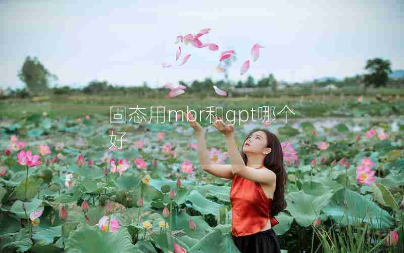 固态用mbr和gpt哪个好 固态用mbr和gpt哪个好