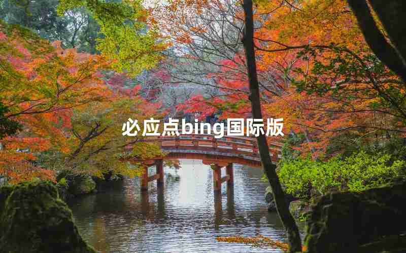 必应点bing国际版