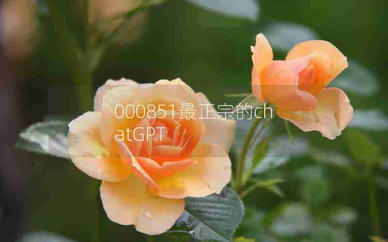 000851最正宗的chatGPT