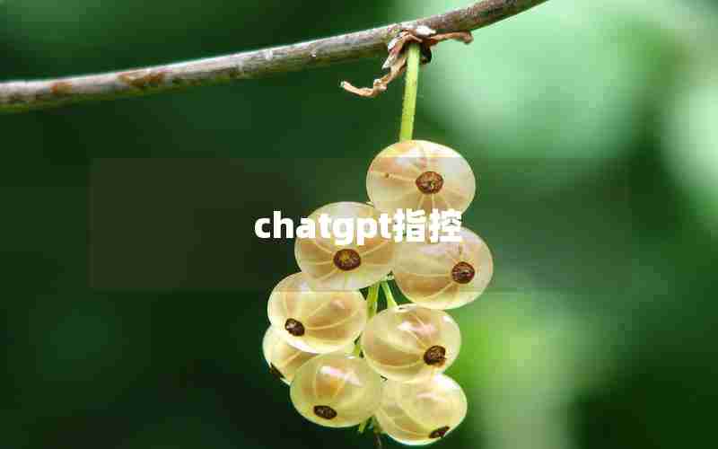 chatgpt指控