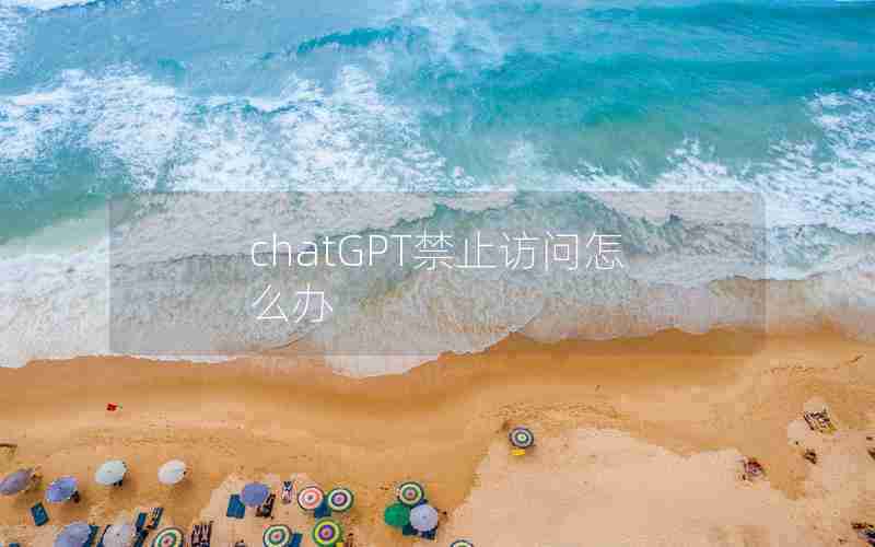 chatGPT禁止访问怎么办 chatGPT禁止访问怎么办