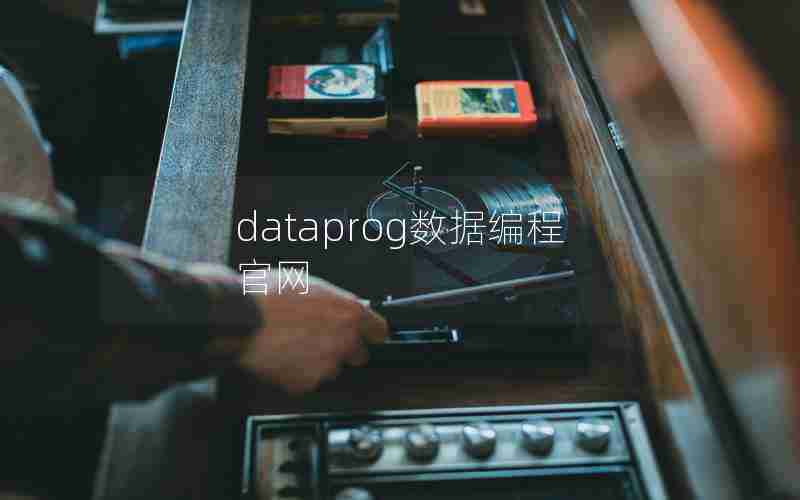 dataprog数据编程官网