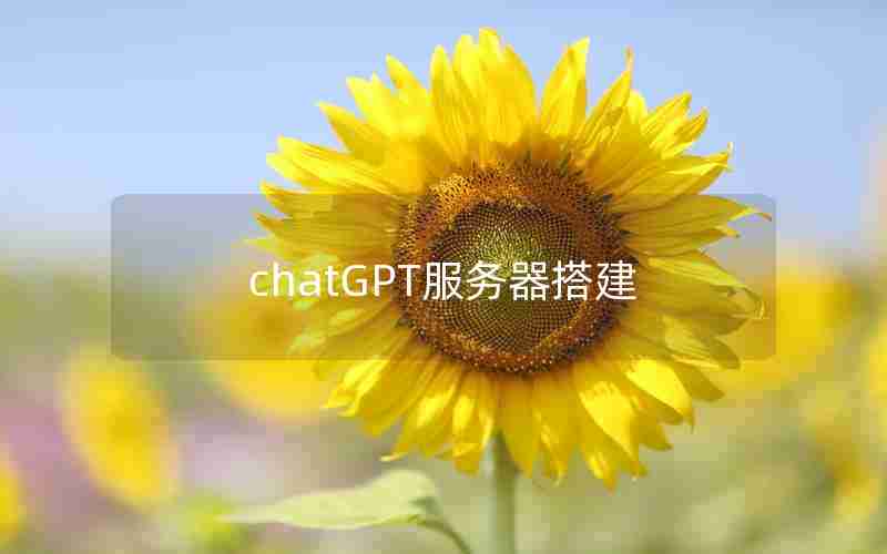 chatGPT服务器搭建