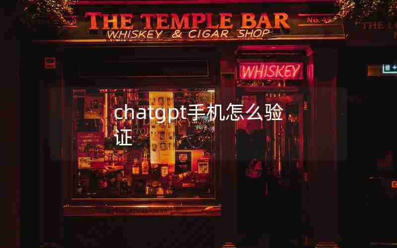 chatgpt手机怎么验证