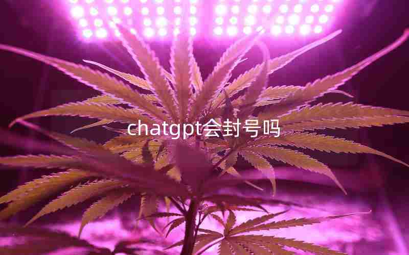 chatgpt会封号吗