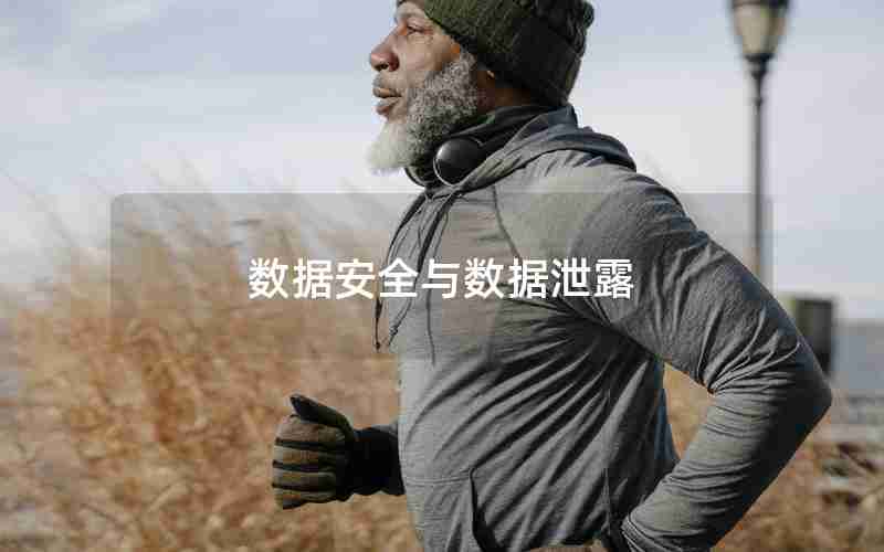 数据安全与数据泄露
