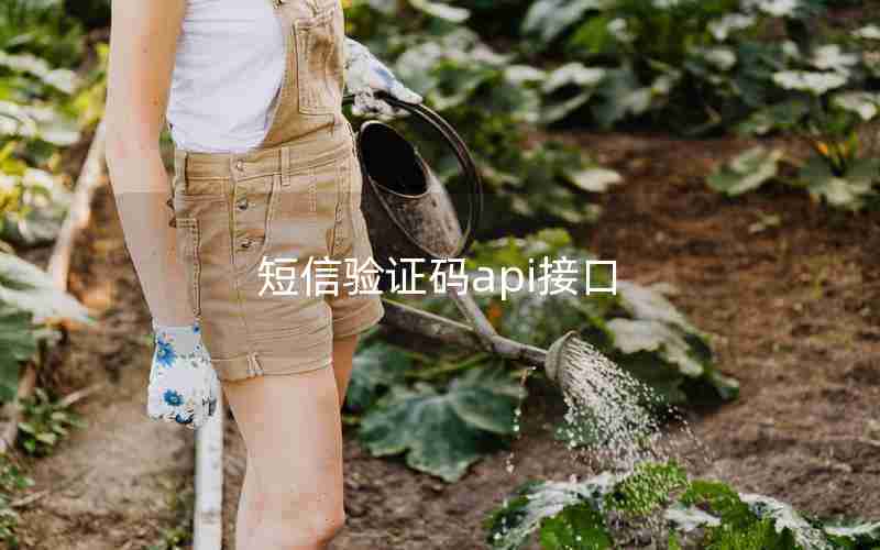 短信验证码api接口