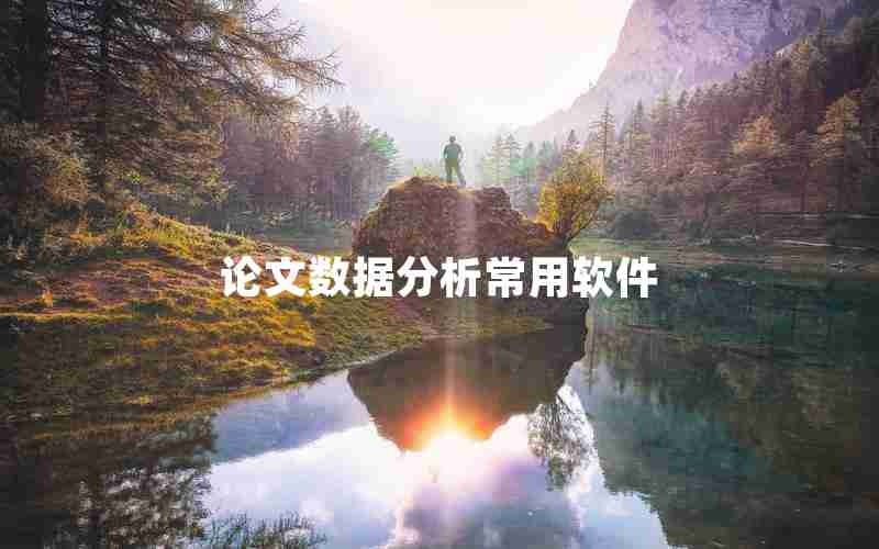 论文数据分析常用软件