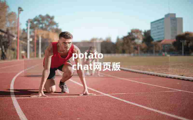 potato chat网页版 potato chat网页版