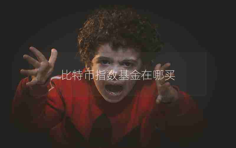 比特币指数基金在哪买
