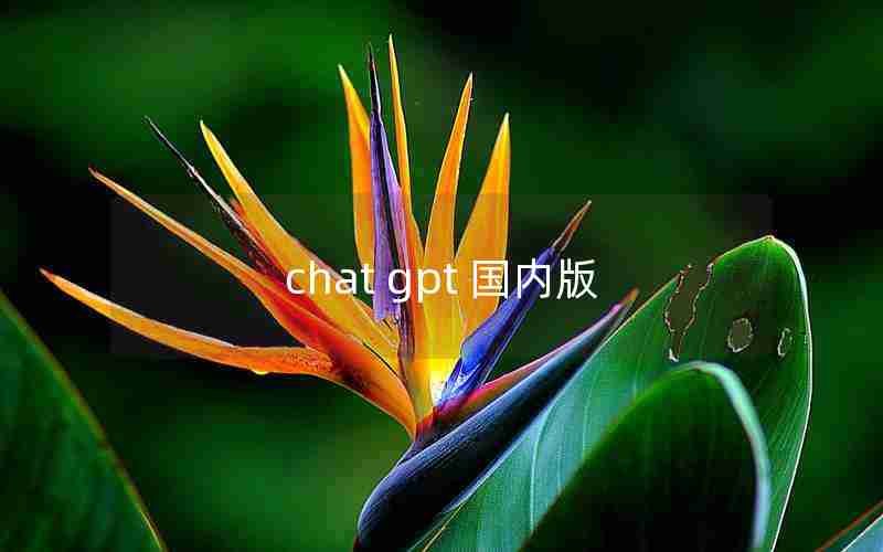 chat gpt 国内版