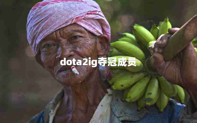 dota2ig夺冠成员 dota2ig夺冠成员
