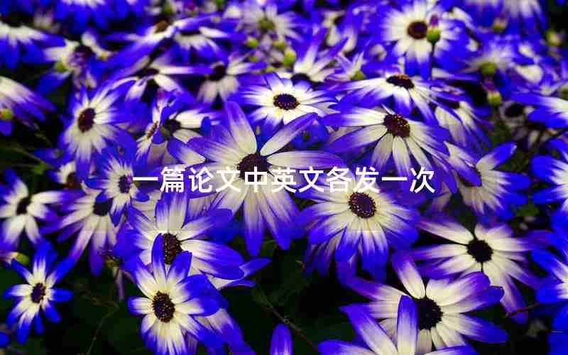 一篇论文中英文各发一次 一篇论文中英文各发一次