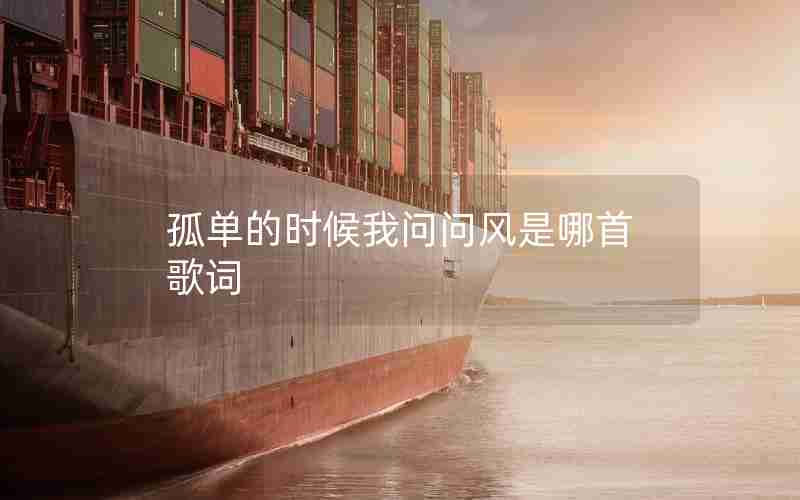 孤单的时候我问问风是哪首歌词 孤单的时候我问问风是哪首歌词
