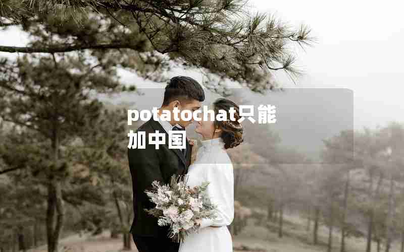 potatochat只能加中国