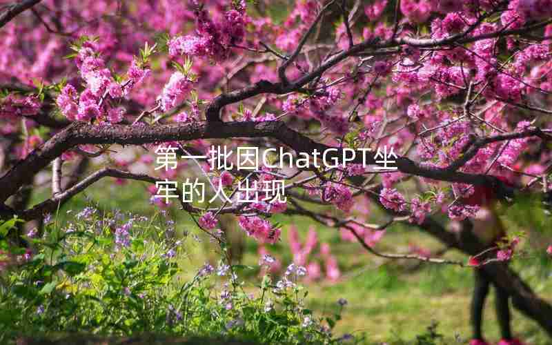 第一批因ChatGPT坐牢的人出现 第一批因ChatGPT坐牢的人出现