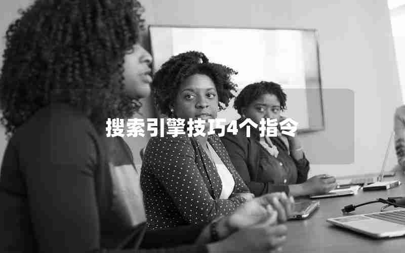 搜索引擎技巧4个指令 搜索引擎技巧4个指令