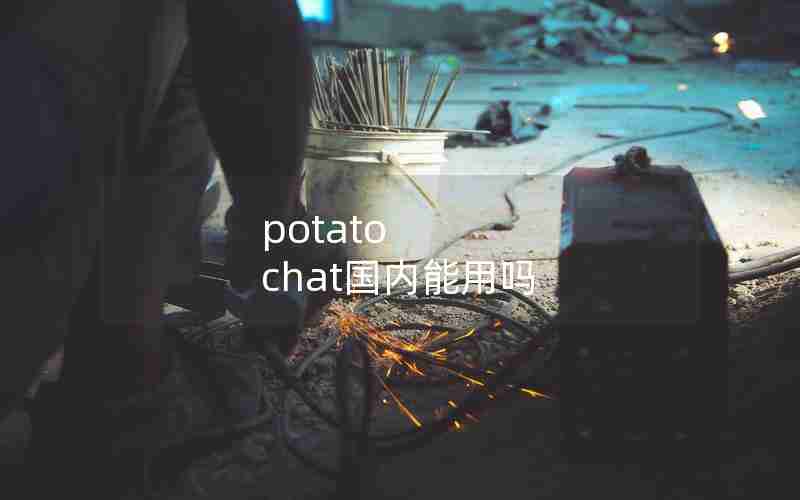 potato chat国内能用吗