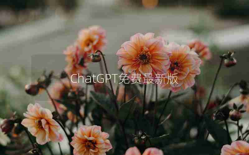 ChatGPT免费最新版 ChatGPT免费最新版