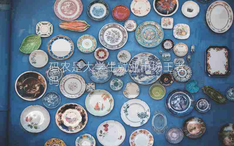 码农是大学生就业市场王者吗 码农是大学生就业市场王者吗