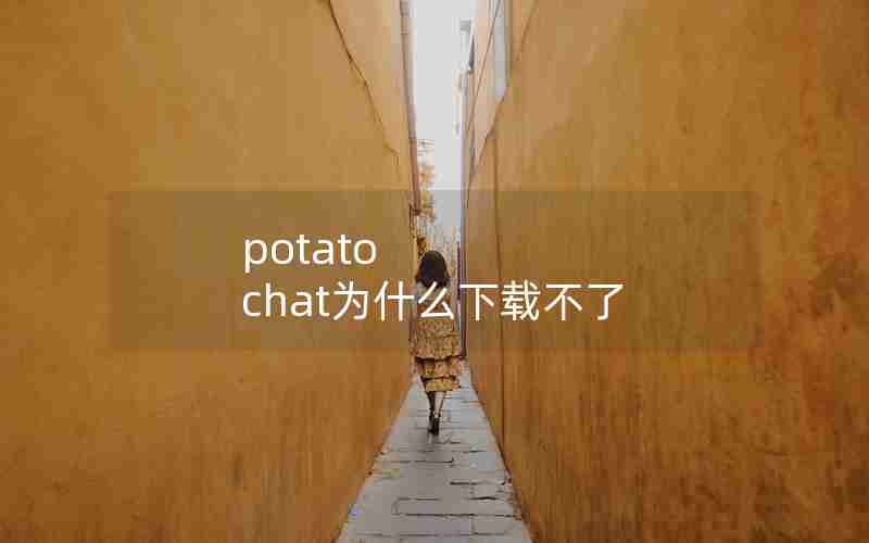 potato chat为什么下载不了 potato chat为什么下载不了