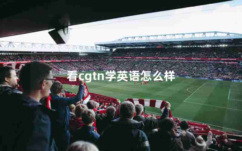 看cgtn学英语怎么样