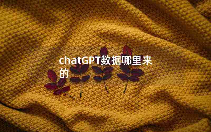chatGPT数据哪里来的