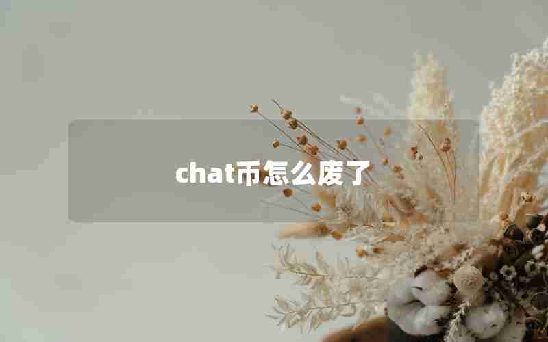 chat币怎么废了