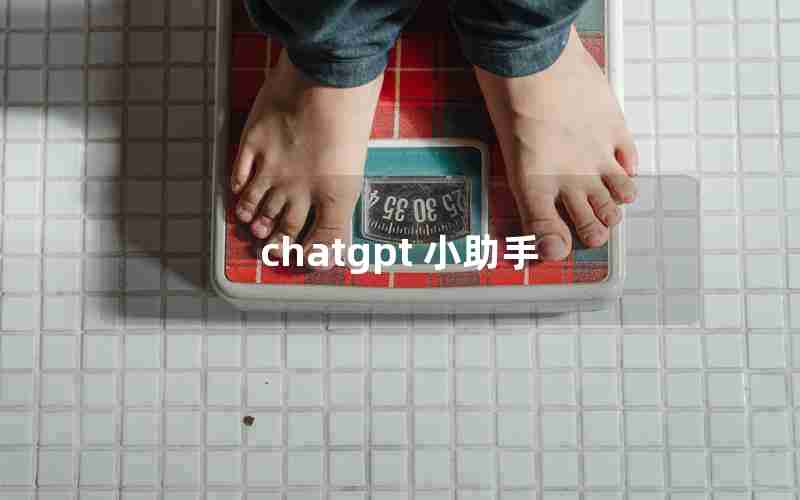 chatgpt 小助手 chatgpt 小助手
