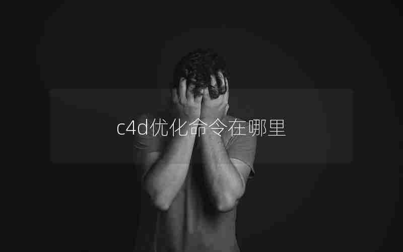 c4d优化命令在哪里