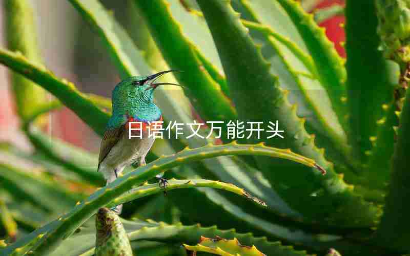 日语作文万能开头 日语作文万能开头