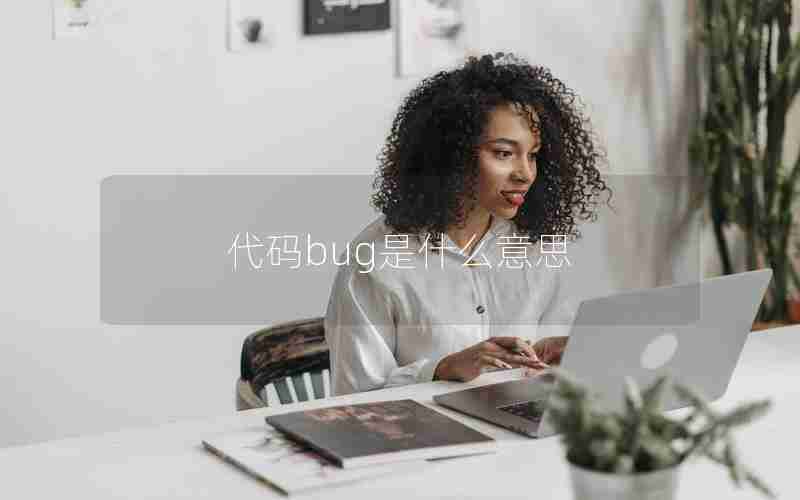 代码bug是什么意思