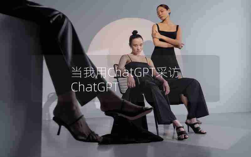 当我用ChatGPT采访ChatGPT 当我用ChatGPT采访ChatGPT