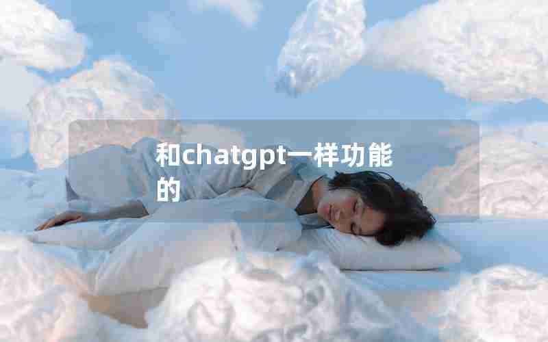 和chatgpt一样功能的 和chatgpt一样功能的
