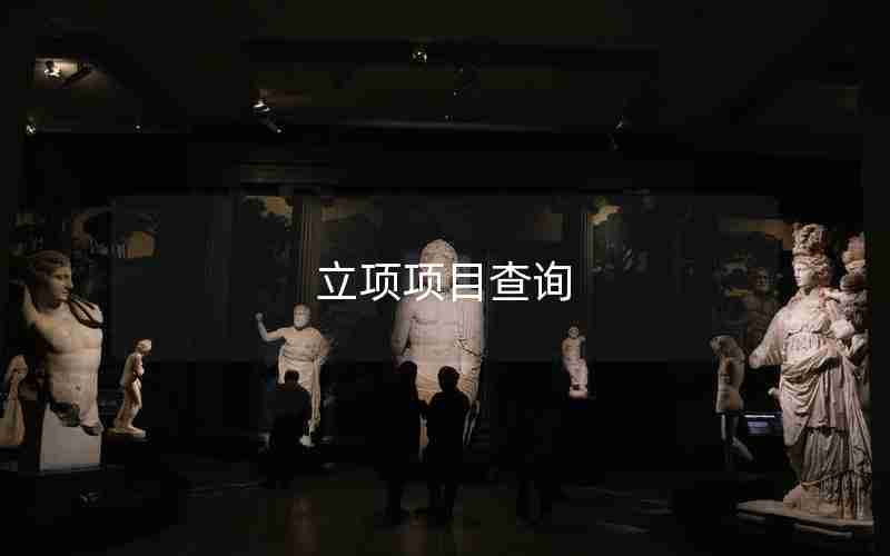 立项项目查询 立项项目查询