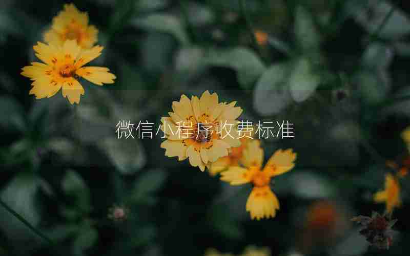 微信小程序收费标准