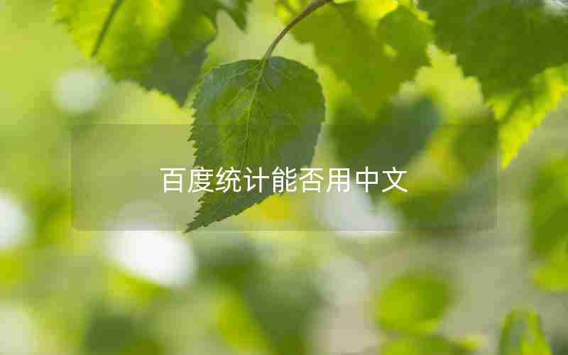 百度统计能否用中文 百度统计能否用中文