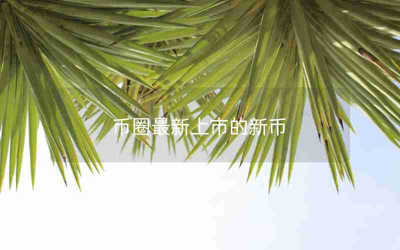 币圈最新上市的新币 币圈最新上市的新币