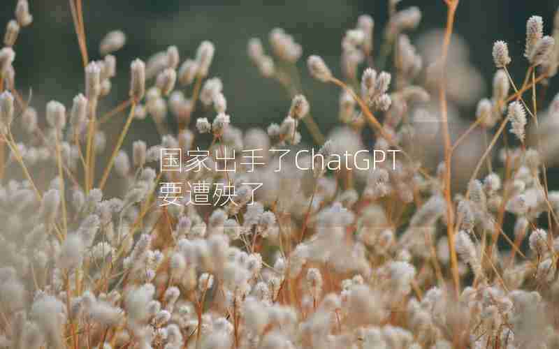 国家出手了ChatGPT要遭殃了